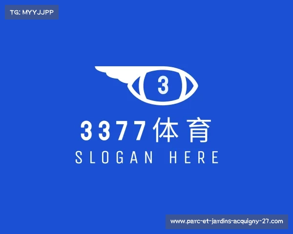 解读3377体育